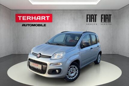 Fiat Panda Gebrauchtwagen