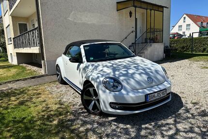 VW Beetle Gebrauchtwagen
