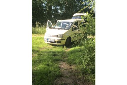 Fiat Panda Gebrauchtwagen