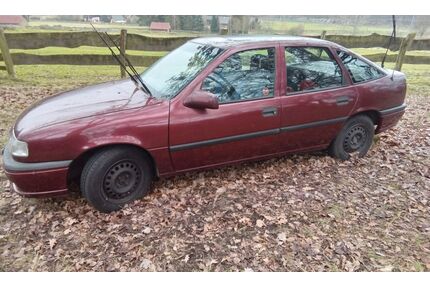 Opel Vectra Gebrauchtwagen