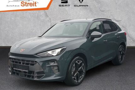 Cupra Terramar Gebrauchtwagen