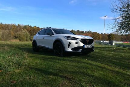 Cupra Formentor Gebrauchtwagen