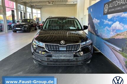 Skoda Karoq Gebrauchtwagen