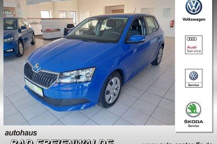 Skoda Fabia Gebrauchtwagen