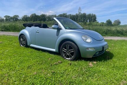 VW Beetle Gebrauchtwagen