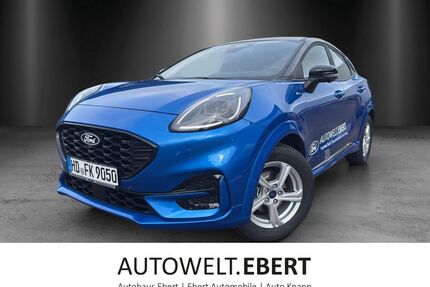 Ford Puma Gebrauchtwagen
