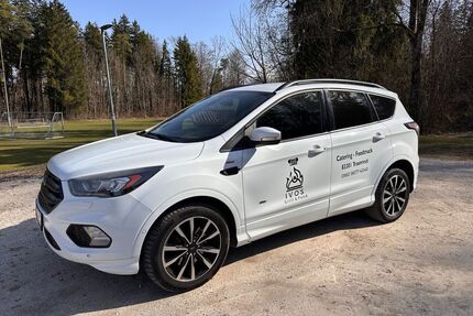 Ford Kuga Gebrauchtwagen