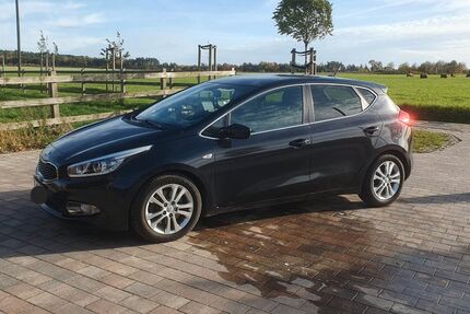Kia ceed / Ceed Gebrauchtwagen