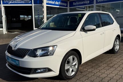 Skoda Fabia Gebrauchtwagen
