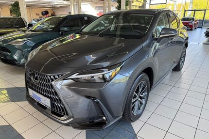 Lexus NX 450h Gebrauchtwagen