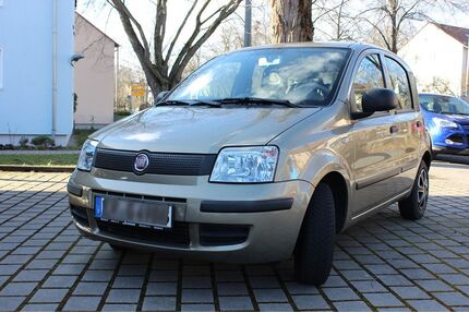 Fiat Panda Gebrauchtwagen