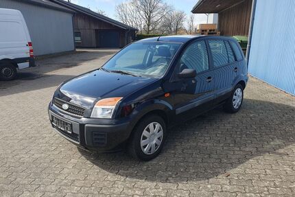 Ford Fusion Gebrauchtwagen