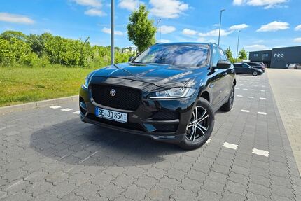 Jaguar F-Pace Gebrauchtwagen