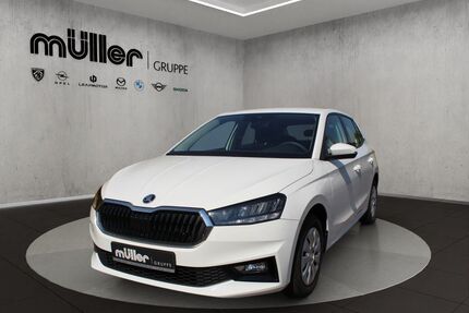 Skoda Fabia Gebrauchtwagen