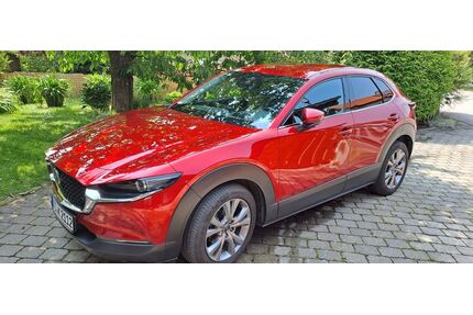 Mazda CX-30 Gebrauchtwagen