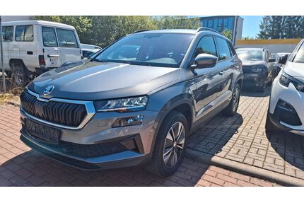 Skoda Karoq Gebrauchtwagen