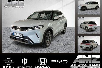 BYD ATTO 2 Gebrauchtwagen