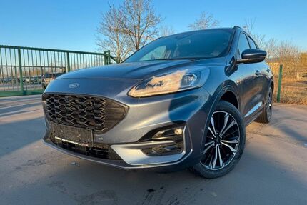 Ford Kuga Gebrauchtwagen