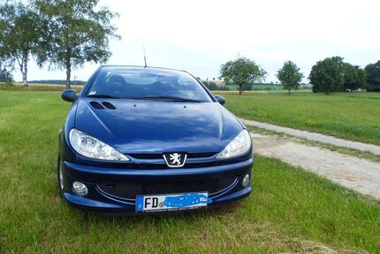 Peugeot 206 Gebrauchtwagen