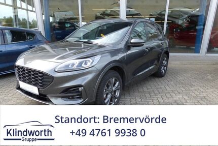 Ford Kuga Gebrauchtwagen