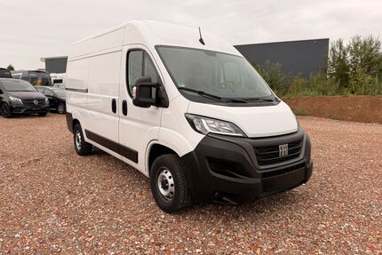 Fiat Ducato Gebrauchtwagen