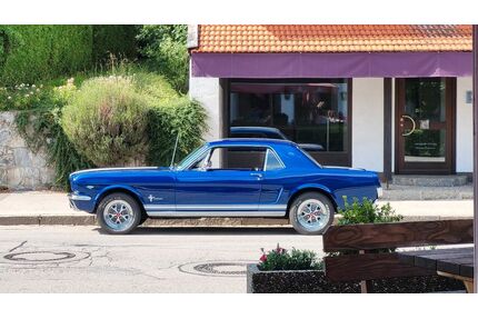 Ford Mustang Gebrauchtwagen