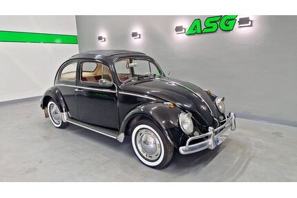 VW Käfer Gebrauchtwagen