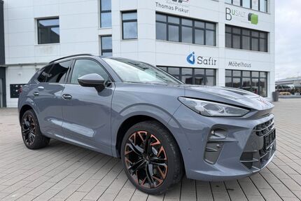 Cupra Terramar Gebrauchtwagen