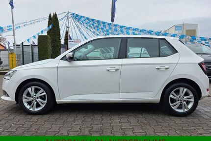 Skoda Fabia Gebrauchtwagen