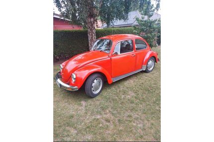 VW Käfer Gebrauchtwagen