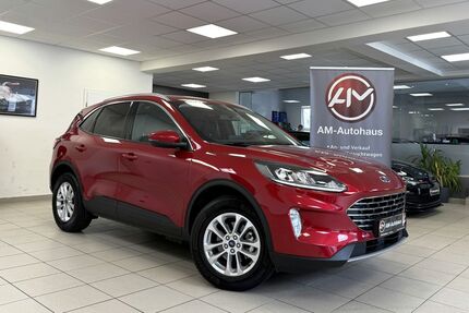 Ford Kuga Gebrauchtwagen