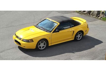 Ford Mustang Gebrauchtwagen