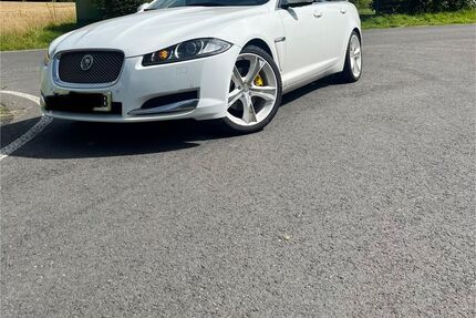 Jaguar XF Gebrauchtwagen