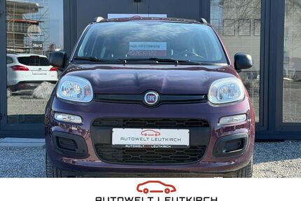 Fiat Panda Gebrauchtwagen
