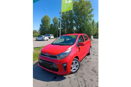 Kia Picanto Gebrauchtwagen