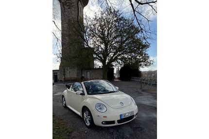 VW Beetle Gebrauchtwagen