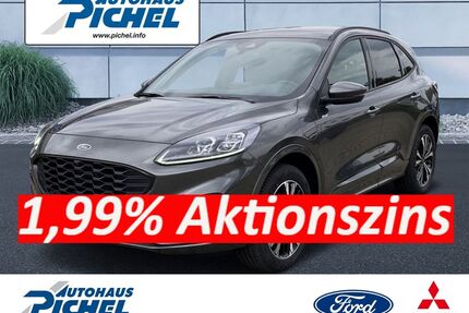 Ford Kuga Gebrauchtwagen