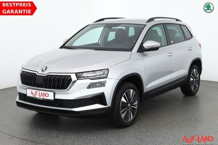 Skoda Karoq Gebrauchtwagen