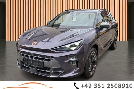 Cupra Terramar Gebrauchtwagen