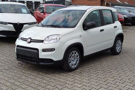 Fiat Panda Gebrauchtwagen
