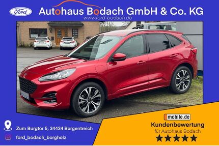 Ford Kuga Gebrauchtwagen