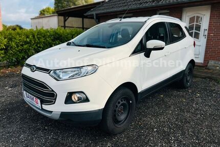 Ford EcoSport Gebrauchtwagen