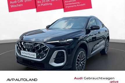 Audi SQ5 Gebrauchtwagen