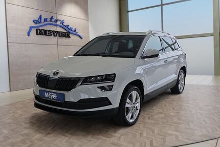 Skoda Karoq Gebrauchtwagen