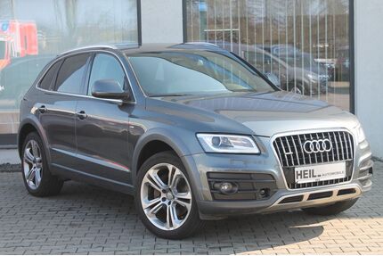 Audi Q5 Gebrauchtwagen