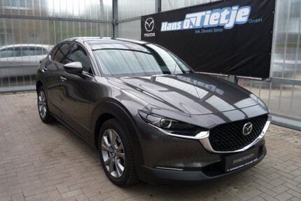 Mazda CX-30 Gebrauchtwagen