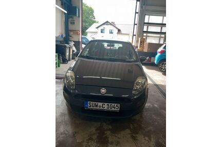 Fiat Punto Evo Gebrauchtwagen
