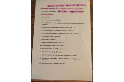 Dacia Spring Gebrauchtwagen