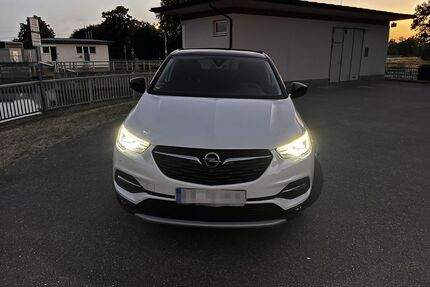 Opel Grandland (X) Gebrauchtwagen