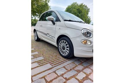 Fiat 500 Gebrauchtwagen